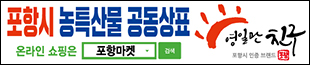 포항시-영일만친