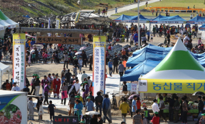 동해면, ‘제8회 연오랑세오녀 축제’ 성료 