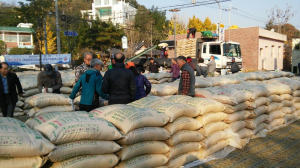 포항시, 2014년산 공공비축미 매입 완료