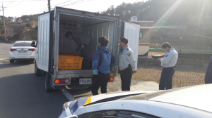 포항시 특별사법경찰관 대게 불법 유통 현장 적발