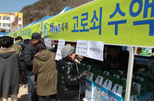 ‘제13회 죽장고로쇠축제’성료...관광객 5천여명 찾아