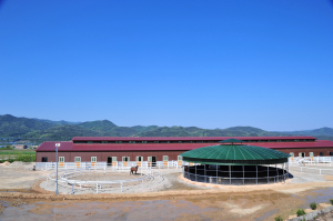 포항시 기계면 봉좌마을 '말 조련사 수강생' 모집