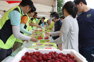 7일 ‘제7회 장기 산딸기 문화축제’ 개최