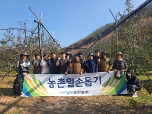 포항시 농업기술센터 기술보급과, 죽장면 사과 재배농가 일손 거들어
