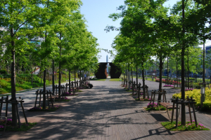 포항 철길숲, 대한민국을 대표하는 모범적인 도시숲으로 인정받았다!