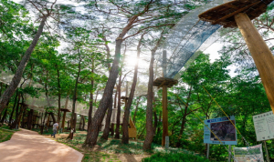 영덕군 ‘산성계곡 생태공원 어드벤처’ 재개장