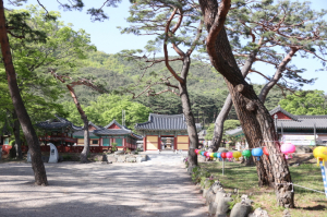 포항 보경사, 5월 4일부터 무료 입장…문화재 관람료 전면 폐지