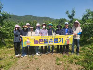 포항시 농식품유통과 공무원, 기북면 사과 농가 일손돕기 봉사