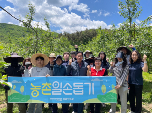 포항시 농업정책과, 죽장면 과수농가 적과 작업 봉사활동에 '구슬땀'