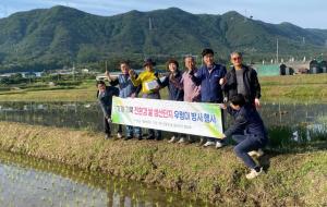 포항시, 고품질 친환경 쌀 안정적 생산 위해 왕우렁이 방사 행사 가져