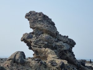 포항만의 지질·문화 나타내는 구만리 독수리바위, 향토 문화유산 지정