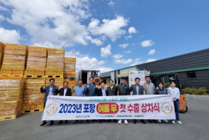 포항 '여름 무' 60톤, 미국 LA·뉴욕으로 첫 수출 길…7월 말까지 약 300톤 이상 수출