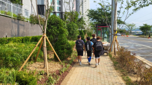 '아이들을 위한 초록 안전선' 포항시, 자녀안심 그린 숲 조성 완료