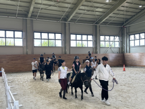 경북교육청, 말(馬)동무와 함께하는 재활승마 가족캠프 실시