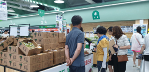 구미 금오산에서 다양한 유럽종 포도 맛보세요
