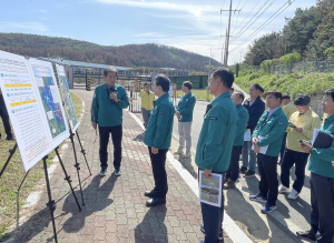 소나무 고사목 집단 발생에 포항시, 산림청·경북도와 공동대응