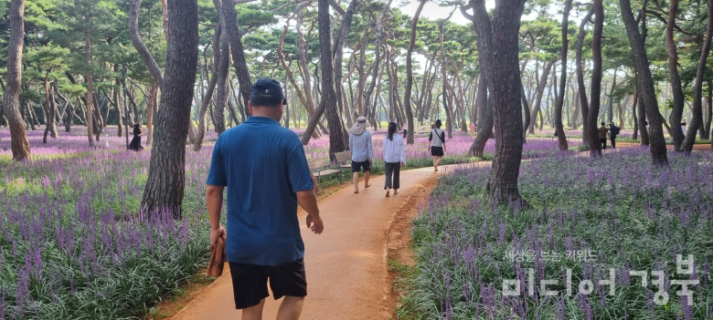 '맨발족들의 성지' 경주시 황성공원 천년맨발길, 인기몰이로 인산인해