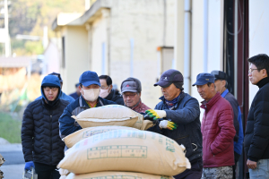 영덕군, 공공비축미곡 '건조벼' 매입 시작