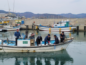 경주시, 명품 해삼종자 12만 8천 마리 방류