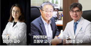 POSTECH·연세대 공동 연구팀, 혈관 구조와 체내 환경을 재현한 위암 모델 제작