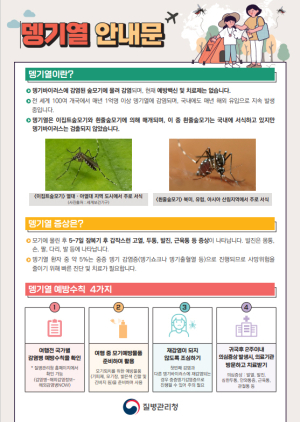 동남아 여행 시 모기매개 감염병 뎅기열을 주의하세요