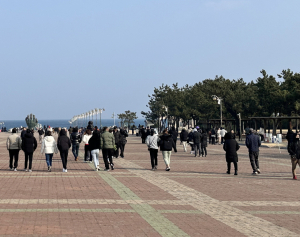 관광문화도시 '포항'이 뜬다! 설 연휴 12만 명 찾아 인기 입증