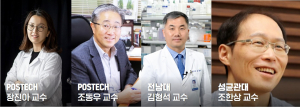 POSTECH · 전남의대 · 성균관대 연구팀, 뇌 모델에 사용 가능한 매트릭스 개발