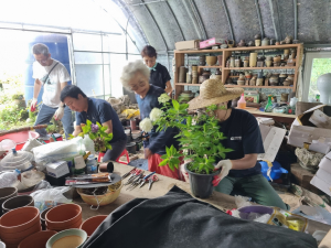 경주시 '‘농촌에서 살아보기' 상반기 참가자 모집