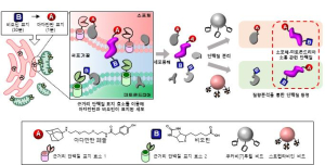 POSTECH · 대구가톨릭대 · 서울대, 특정 시간과 장소에서 활동하는 단백질 식별 기술 개발