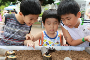 예천곤충생태원, 2024 예천곤충축제 기간 곤충특화 프로그램 진행