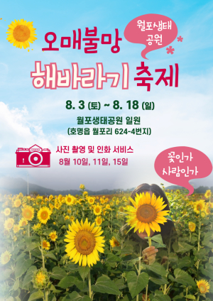 예천군 호명읍 월포생태공원 여름 꽃 축제, 관람객 사로잡아