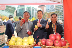산지의 신선함을 그대로! ‘포항 사과’ 서울시청 광장에서 만난다!