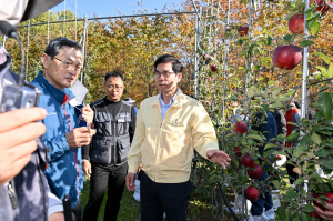 영덕군, 2025년 과수산업 육성에 28억 투입