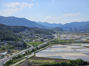 경주시, 주요 교차로 2곳에 도시숲 조성…미세먼지 저감 및 열섬현상 완화 기대