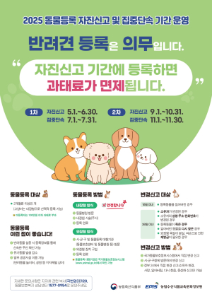 포항시, 9~10월 반려견 ‘동물등록 자진신고 기간’ 운영