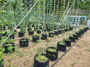 [특집] 포항 수제맥주, 완전한 포항산 맥주로의 진화