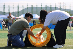 포항시, 반려동물 문화교실 ‘포항서당개’ 운영…성숙한 반려문화 확산 나서