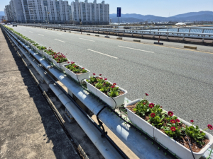 포항시, 사계절 꽃으로 피어나는 포항 Blooming Street 조성