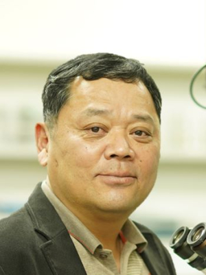 POSTECH 연구진, 세포·조직 수준에서 면역 반응이 없는 생체 이식체 개발